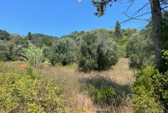 Land for sale in Corfu Prefecture