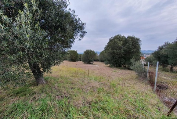 Land for sale in Chalkidiki