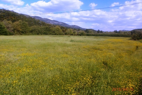 Land for sale in Thesprotia