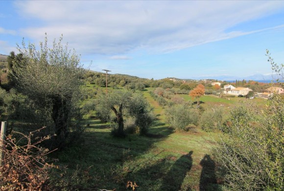 Land for sale in Corfu Prefecture