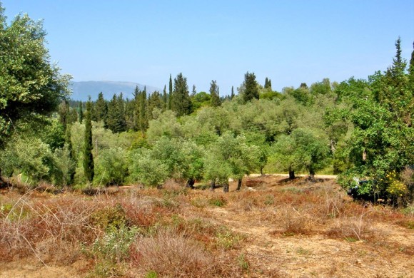 Land for sale in Corfu Prefecture