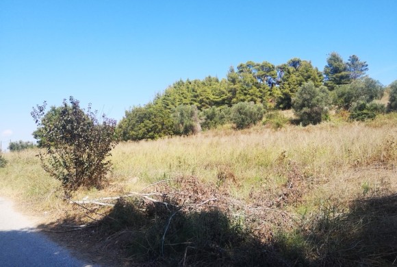 Land for sale in Chalkidiki