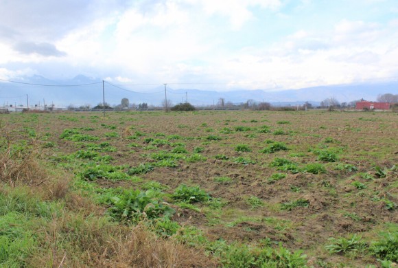 Land for sale in Pieria Prefecture