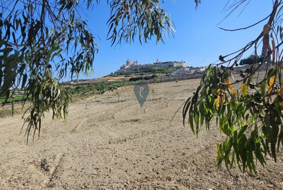 Land for sale in Imtarfa