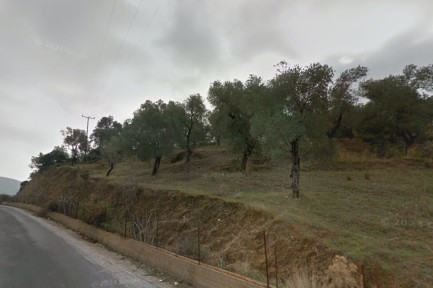 Land for sale in 