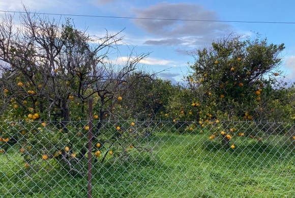 Land for sale in Chania Prefecture