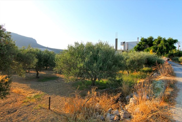 Land for sale in Heraklion Prefecture
