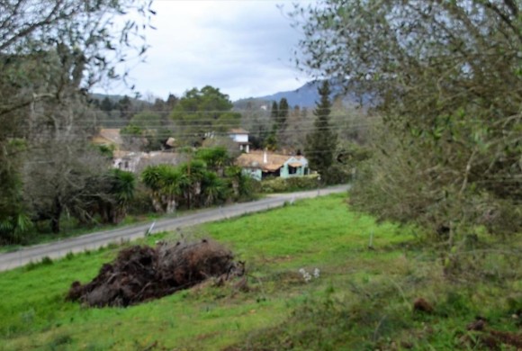 Land for sale in Corfu Prefecture