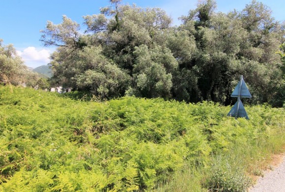 Land for sale in Corfu Prefecture