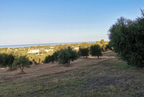 Land for sale in Peloponnese