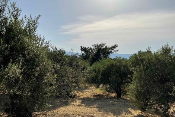 Land for sale in Heraklion Prefecture