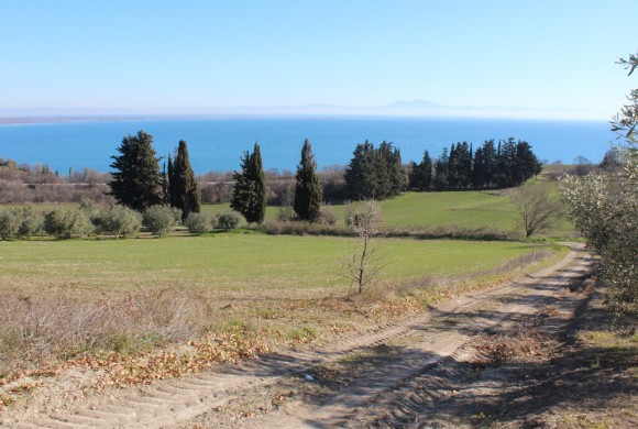 Land for sale in Pieria Prefecture