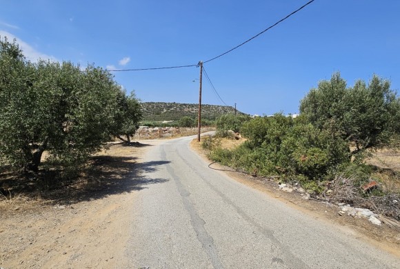 Land for sale in Lasithi Prefecture