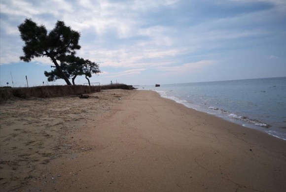 Land for sale in Chalkidiki
