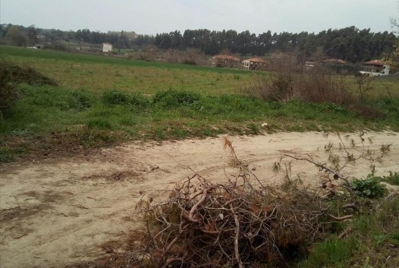 Land for sale in Chalkidiki