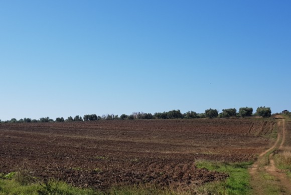 Land for sale in Chalkidiki