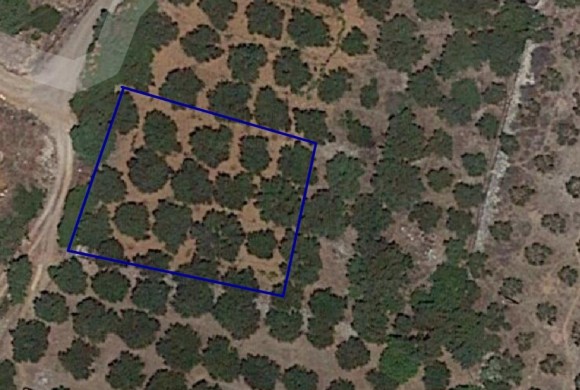 Land for sale in Lasithi Prefecture