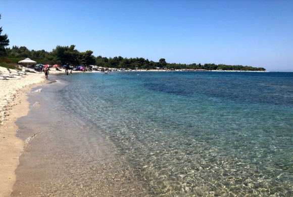 Land for sale in Chalkidiki