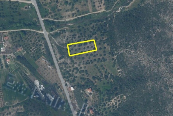 Land for sale in Chalkidiki