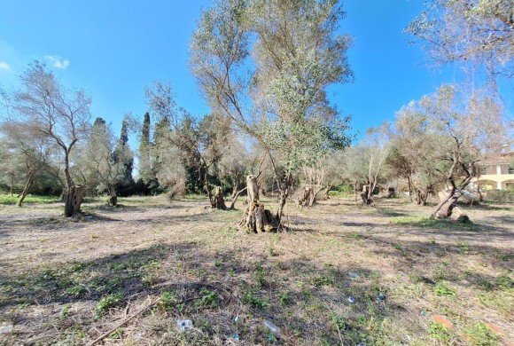 Land for sale in Corfu Prefecture