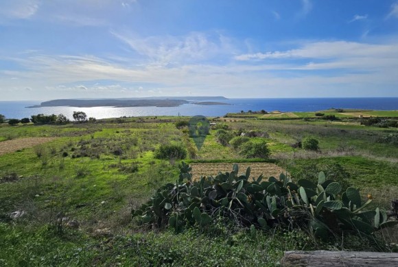 Land for sale in Qala
