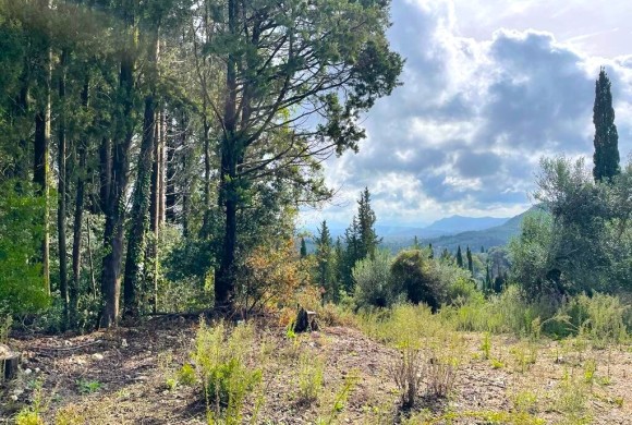 Land for sale in Corfu Prefecture