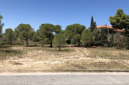 Land for sale in 