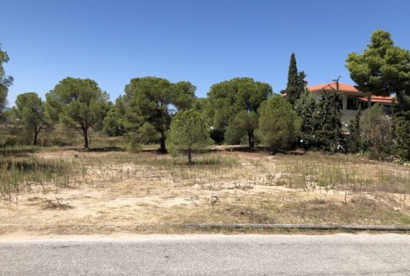 Land for sale in Chalkidiki