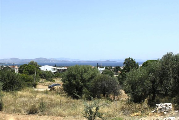 Land for sale in East