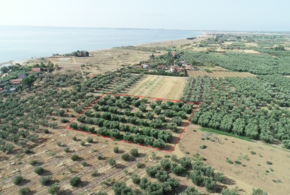 Land for sale in Chalkidiki