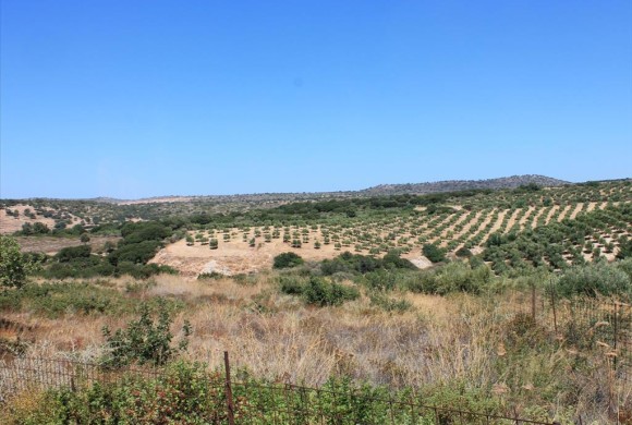 Land for sale in Rethymno Prefecture