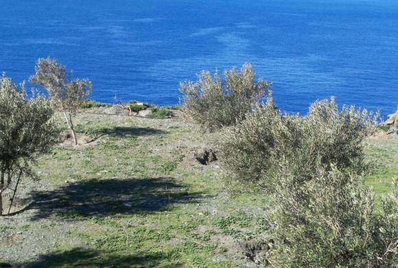 Land for sale in Cyclades