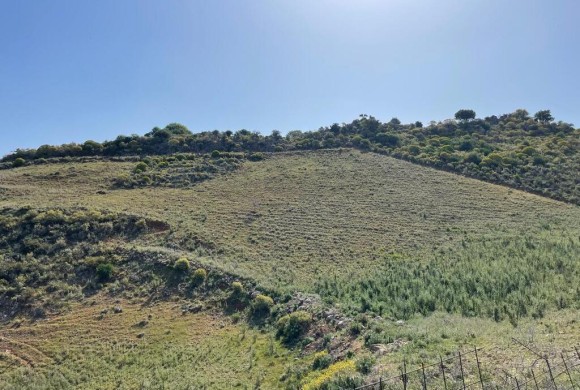 Land for sale in Chania Prefecture