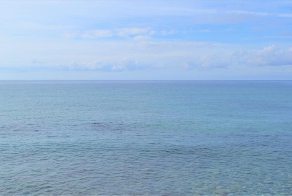 Land for sale in Corfu Prefecture