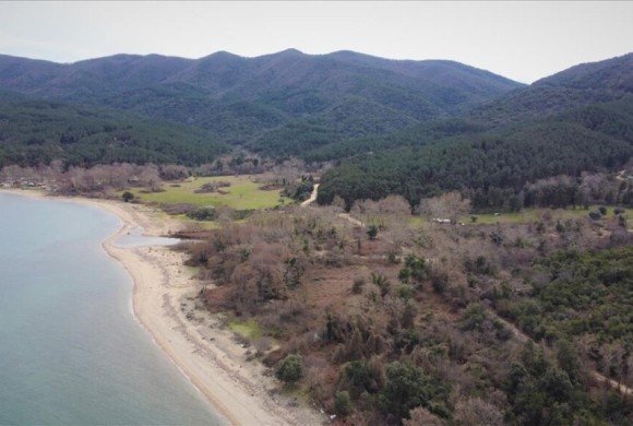 Land for sale in Chalkidiki