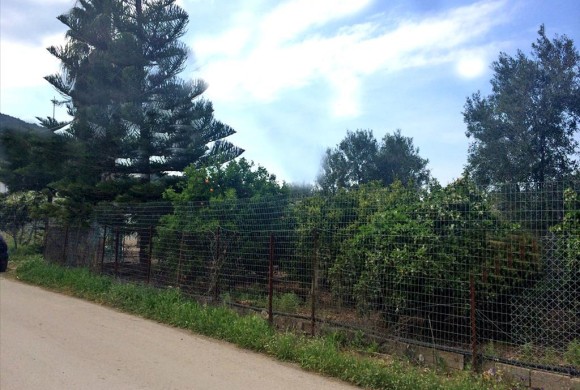 Land for sale in Corinthia