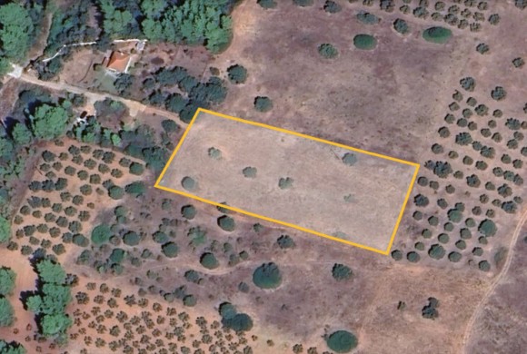 Land for sale in Chalkidiki