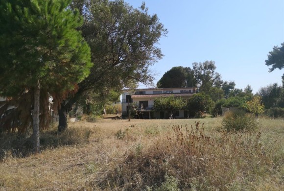 Land for sale in Chalkidiki