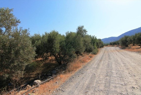 Land for sale in Lasithi Prefecture