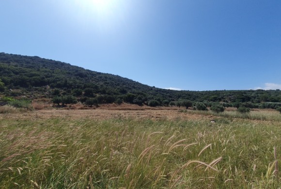 Land for sale in Lasithi Prefecture