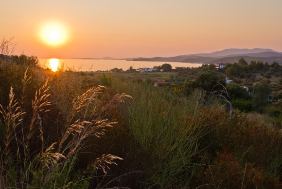 Land for sale in Chalkidiki