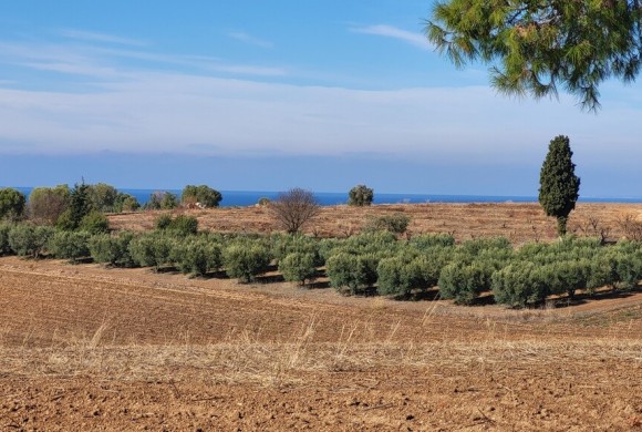 Land for sale in Chalkidiki