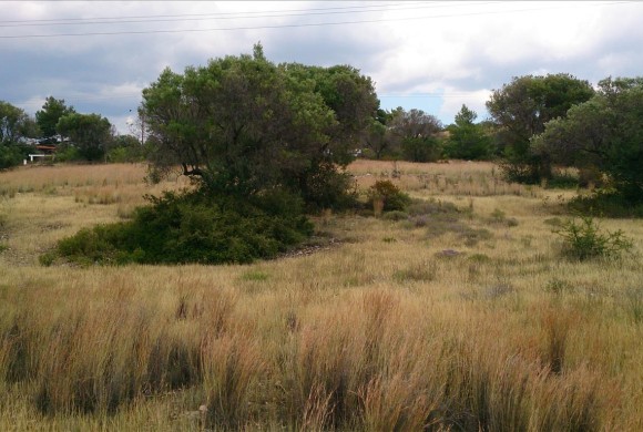 Land for sale in Chalkidiki