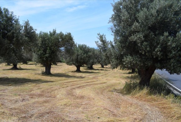 Land for sale in Rethymno Prefecture