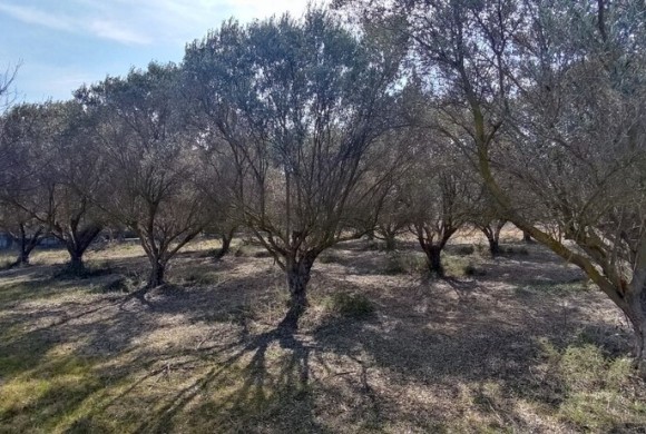 Land for sale in Suburbs