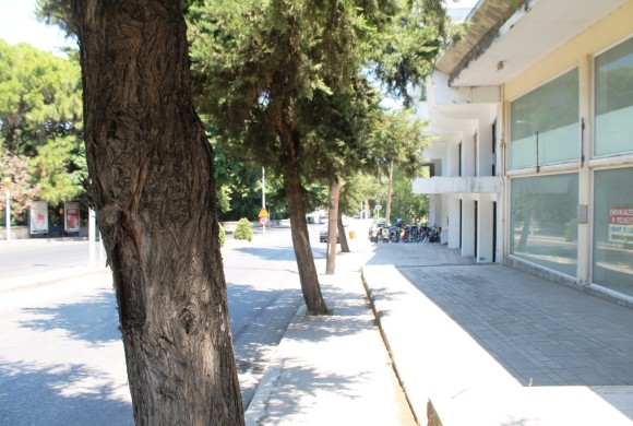 Shop / Business for sale in Dodecanese