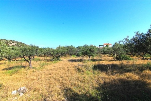 Land for sale in Lasithi Prefecture