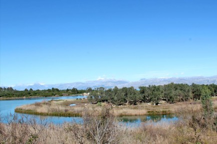 Land for sale in