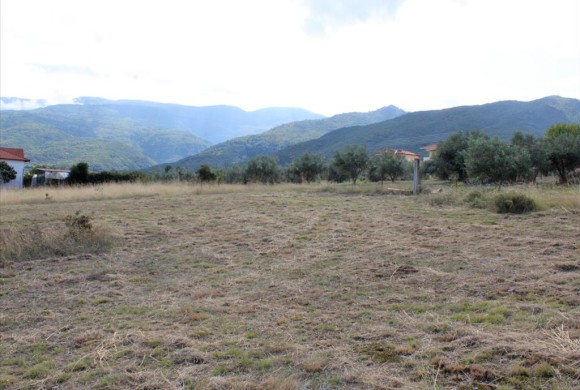 Land for sale in Pieria Prefecture