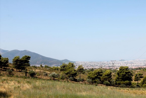 Land for sale in North
